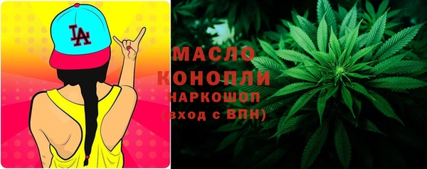 ешки Новодвинск