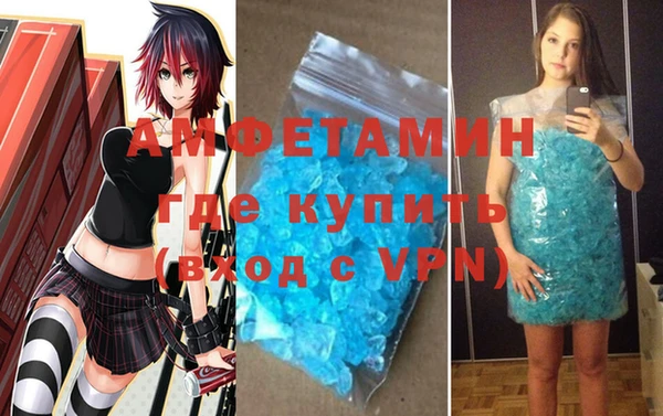 стаф Новокубанск