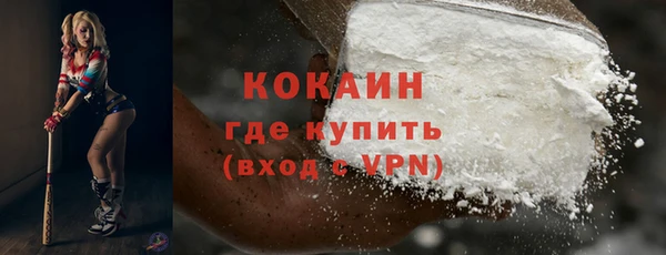 ешки Новодвинск