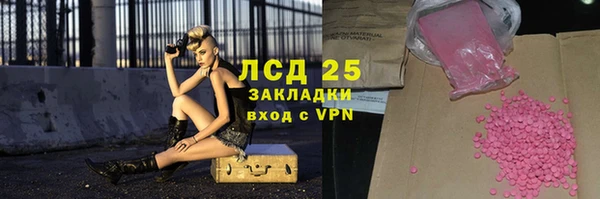 стаф Новокубанск