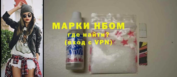 ешки Новодвинск