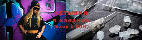 ешки Новодвинск
