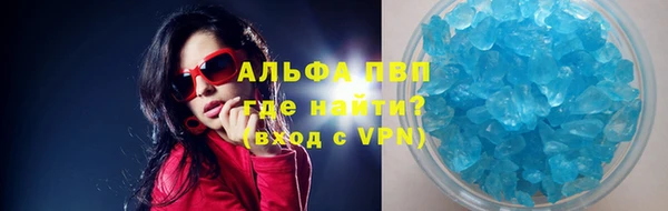 стаф Новокубанск