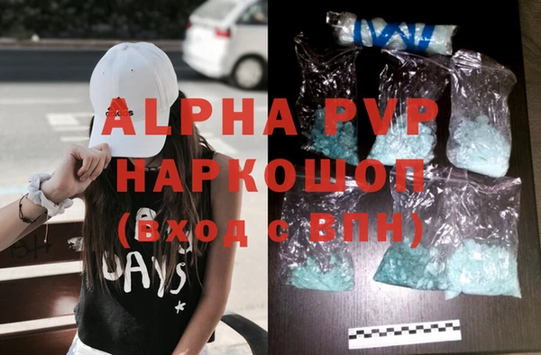 стаф Новокубанск