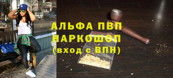 ешки Новодвинск