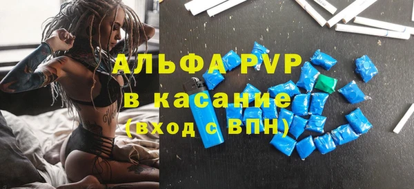 ешки Новодвинск