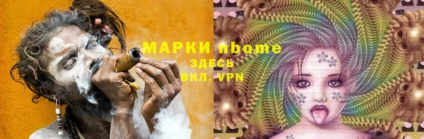 стаф Новокубанск