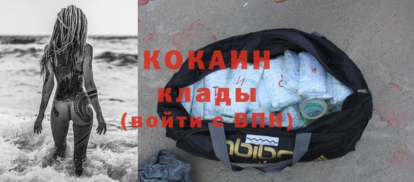 ешки Новодвинск