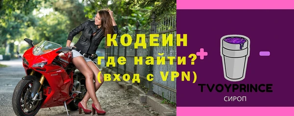 стаф Новокубанск
