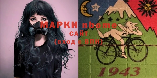 стаф Новокубанск
