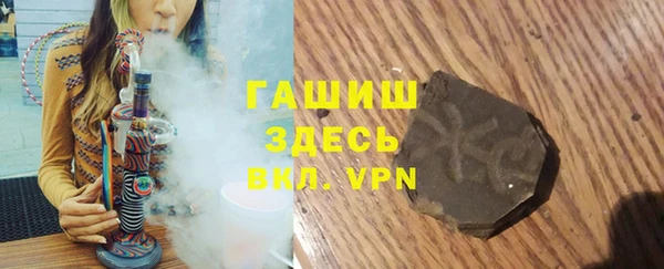 стаф Новокубанск